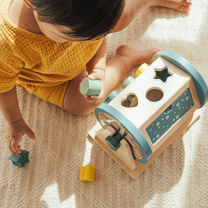 Activity Roller